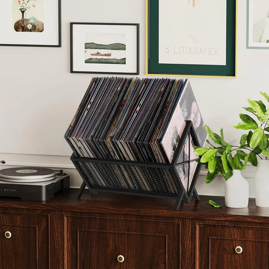 VINYL RECORD ALBUM STORAGE