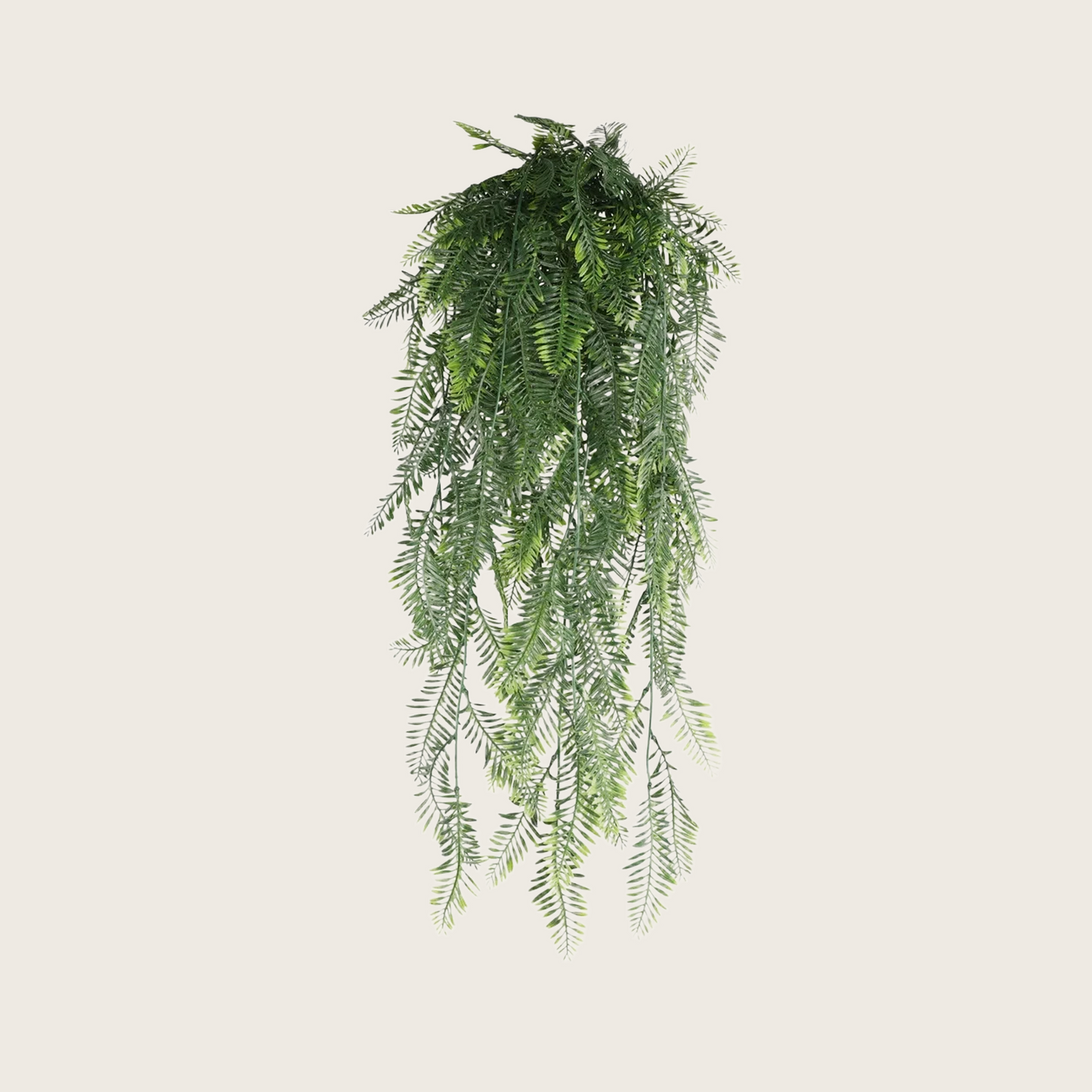 HANGING PLANTS