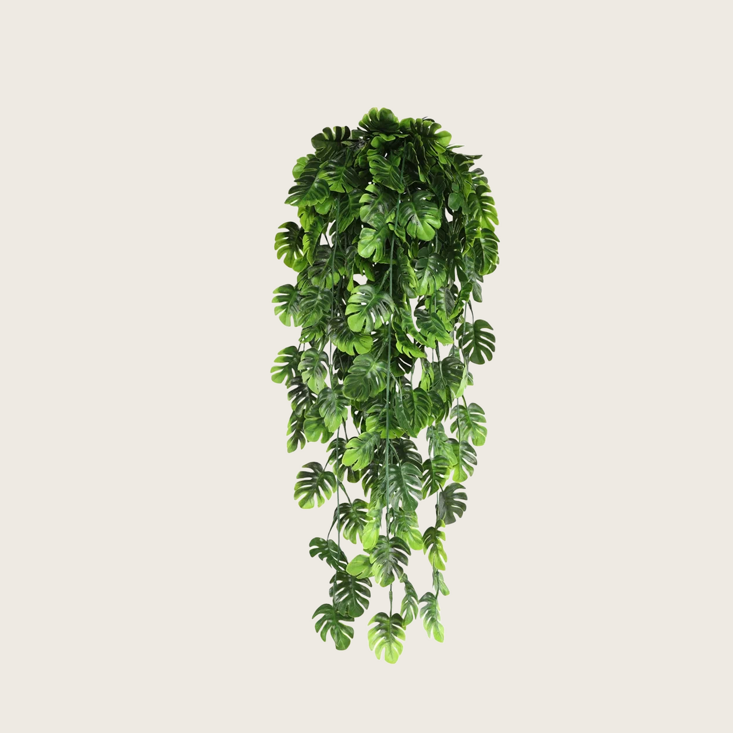 HANGING PLANTS