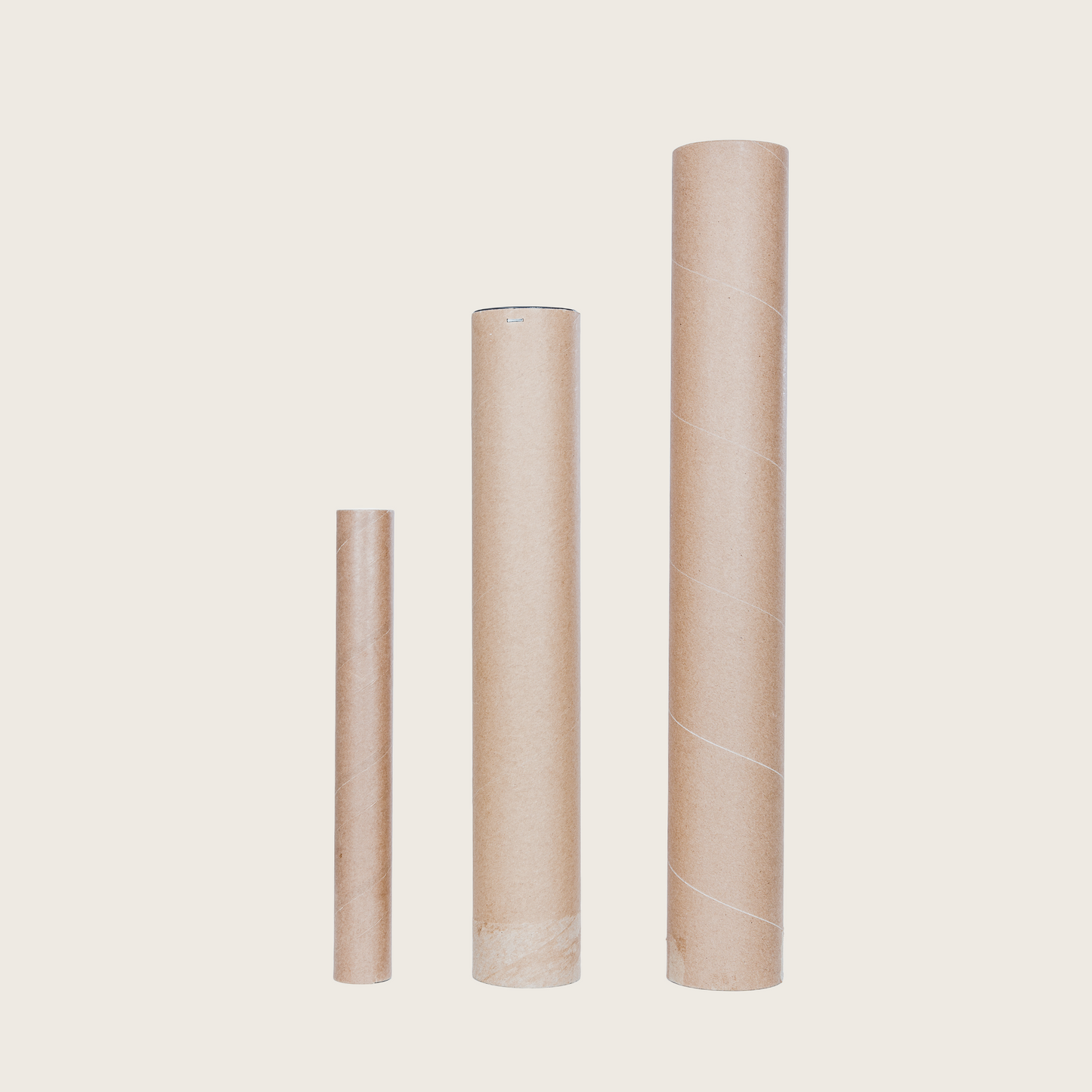 NISHIKIGOI KOI CARP POSTER