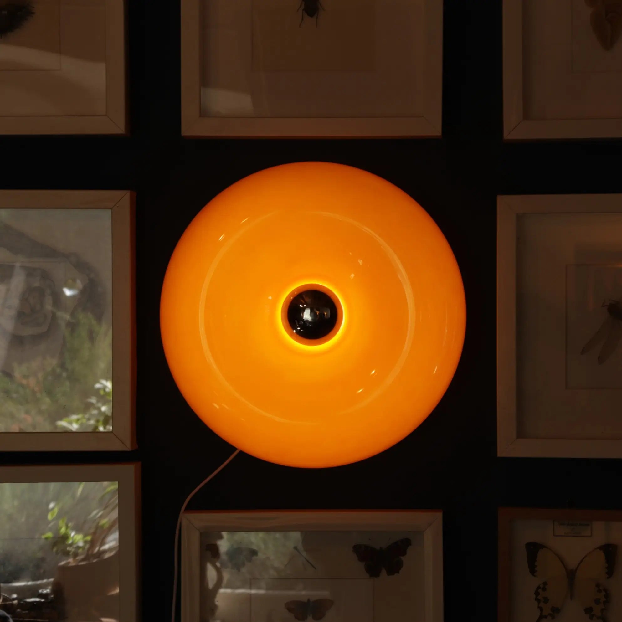 Donut Lamp