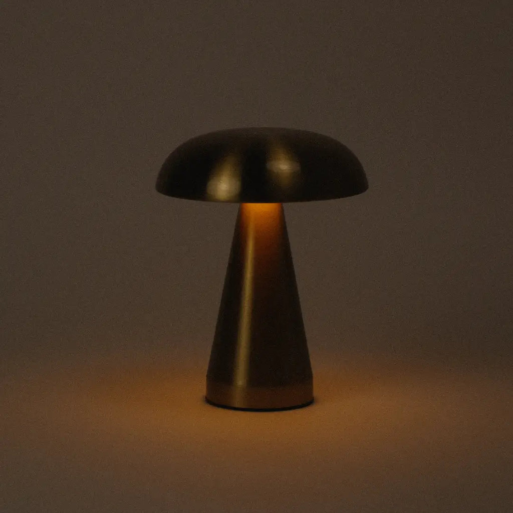 Retro Mushroom Lamp Duo