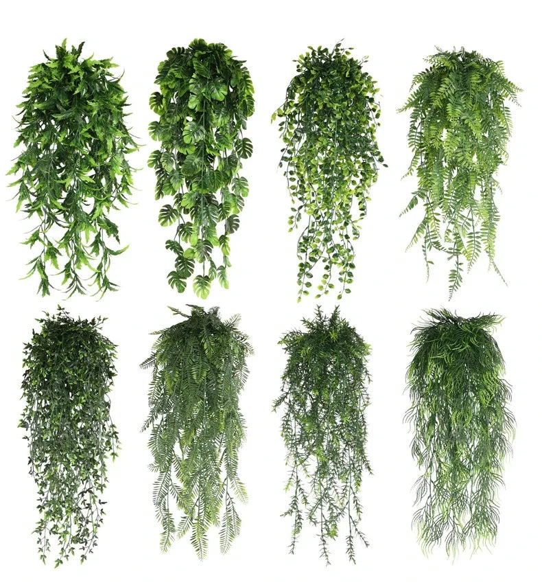 HANGING PLANTS