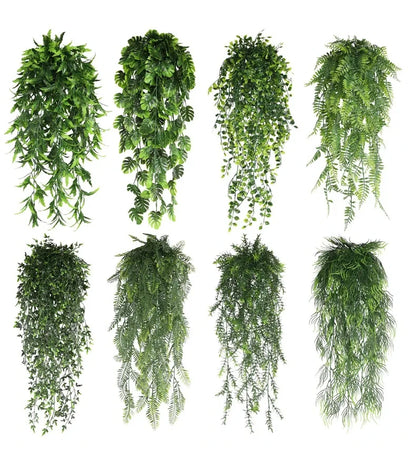HANGING PLANTS