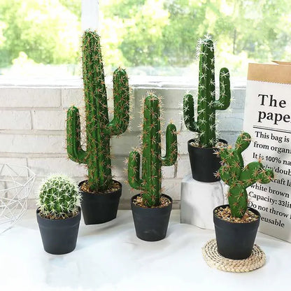 CACTUS
