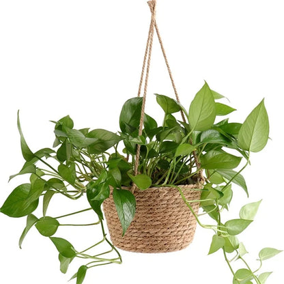 HANGING POT