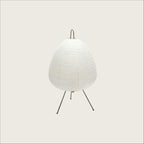 Akari 1A Lamp