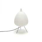 Akari 1A Lamp