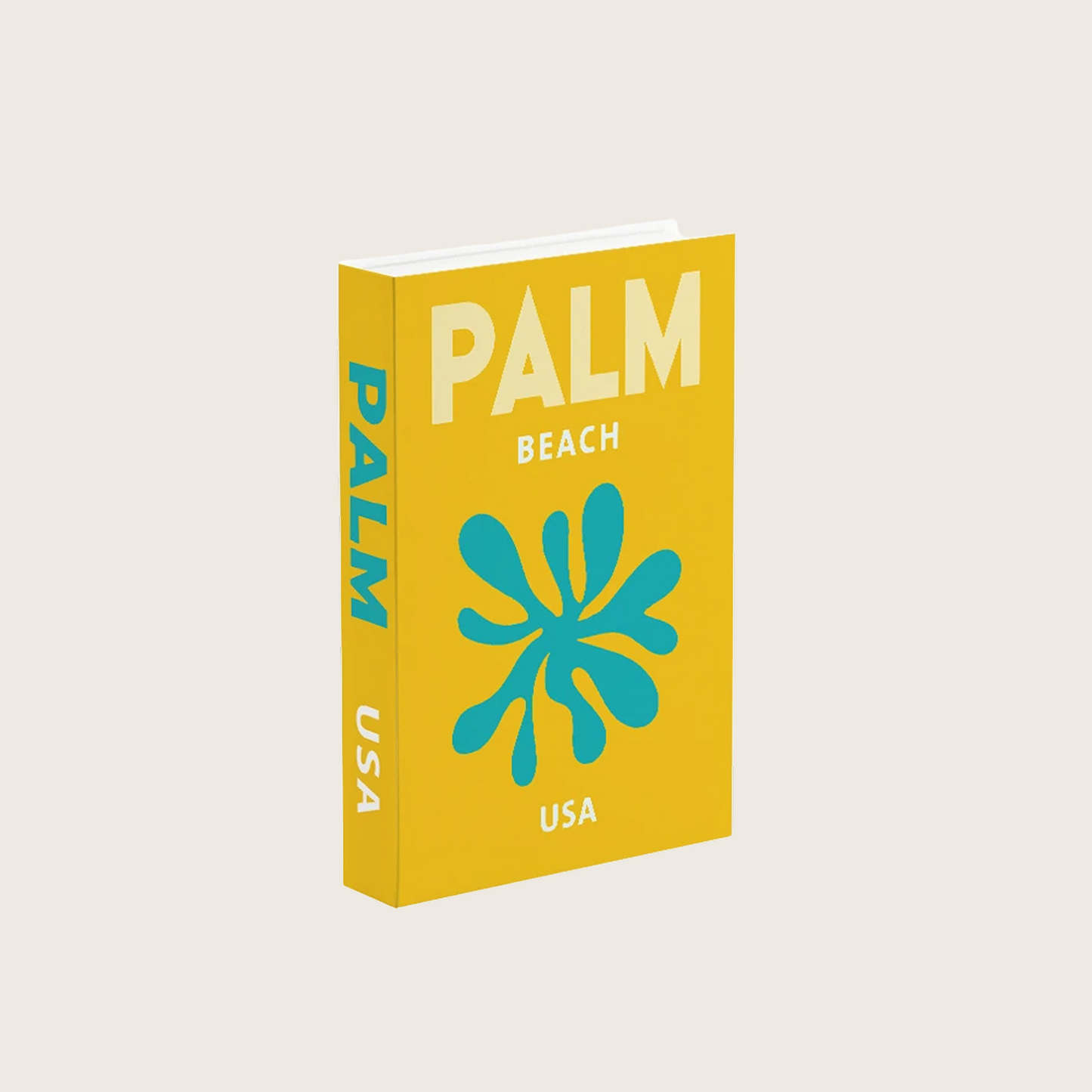FAKE TRAVEL BOOK STORAGE