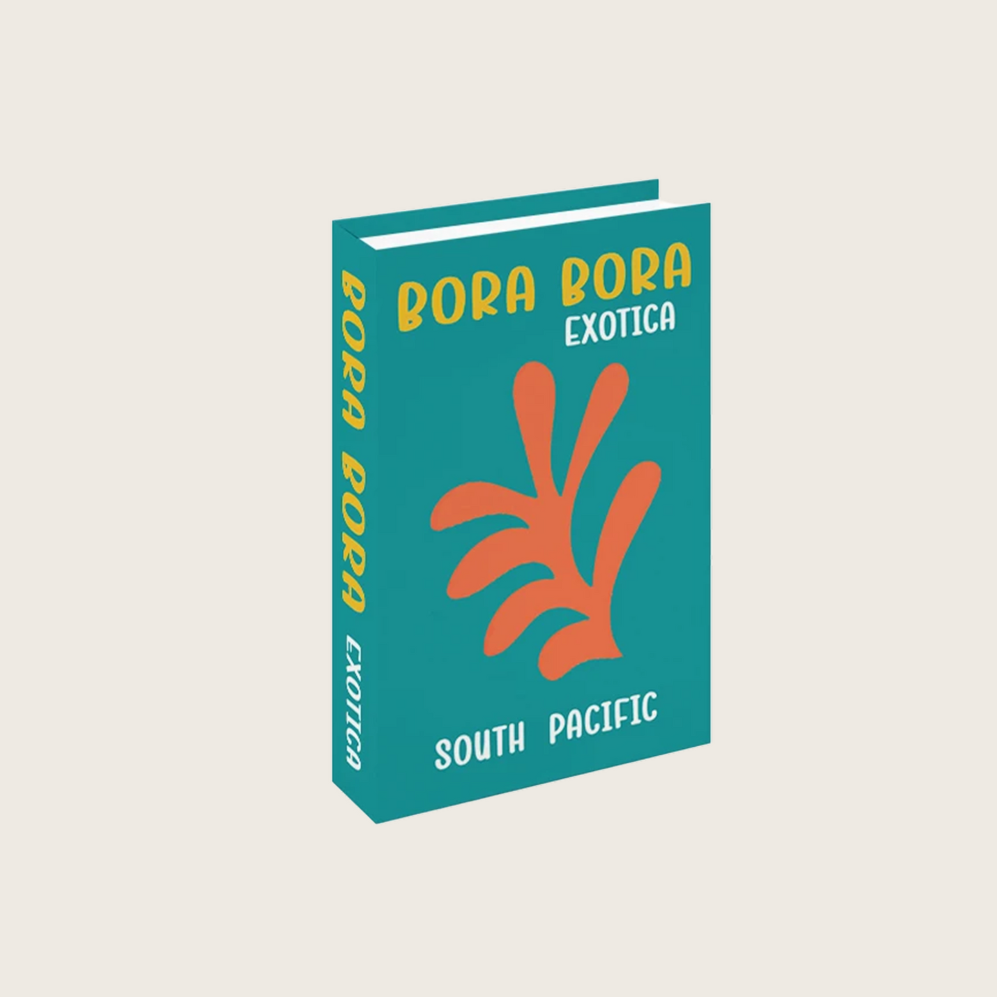 FAKE TRAVEL BOOK STORAGE