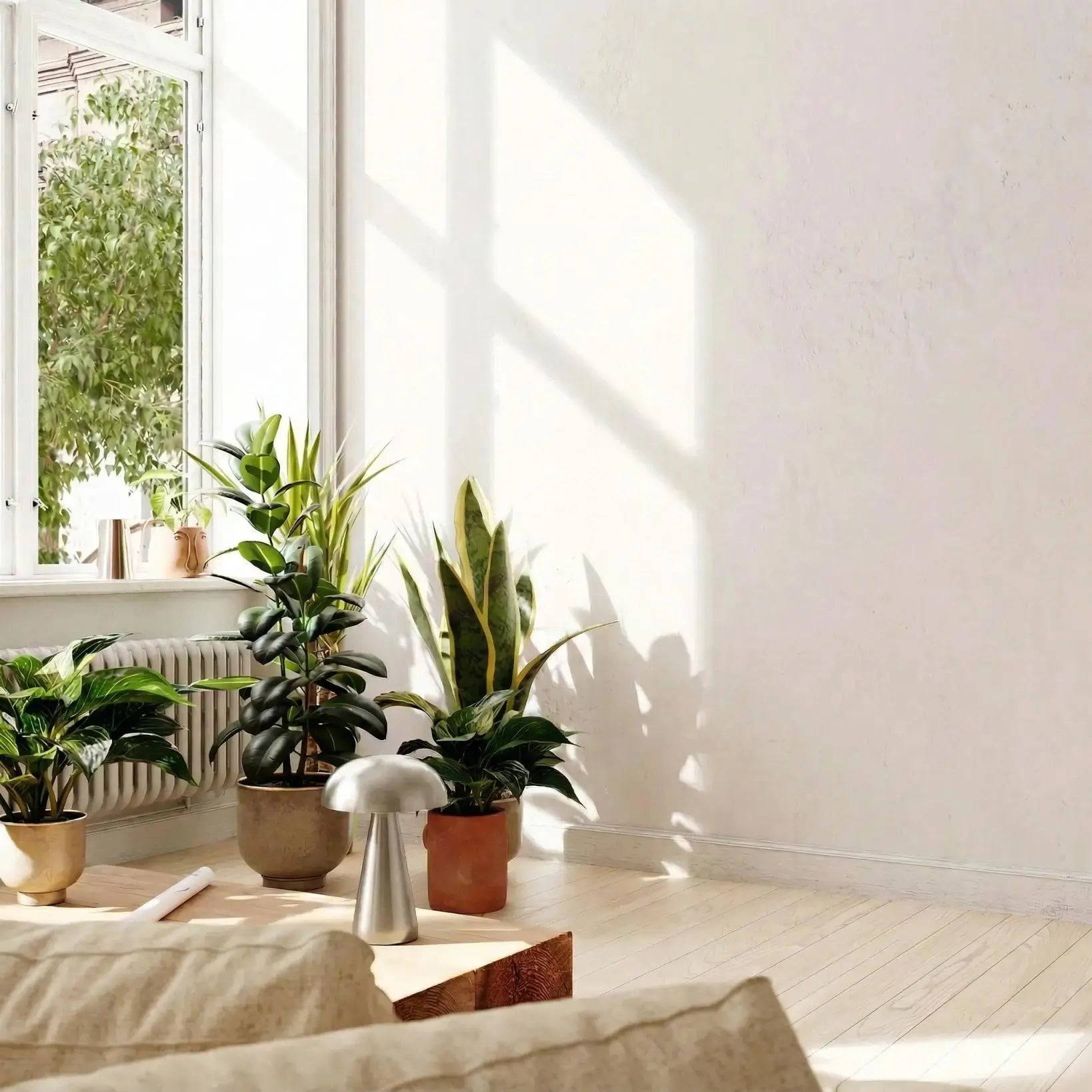 Living room with potted plants and a window allowing natural light to fill the space.