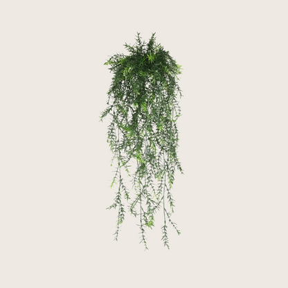 HANGING PLANTS