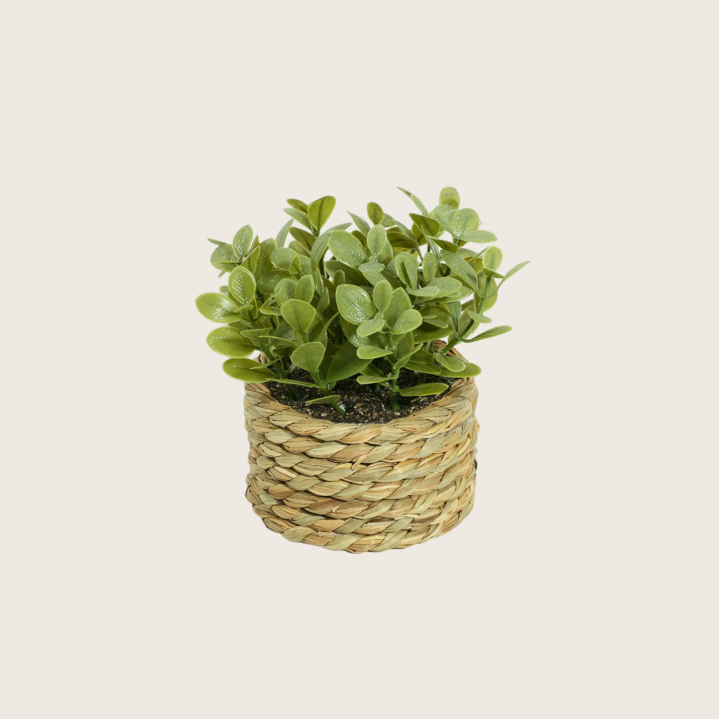 ARTIFICIAL MINI PLANT