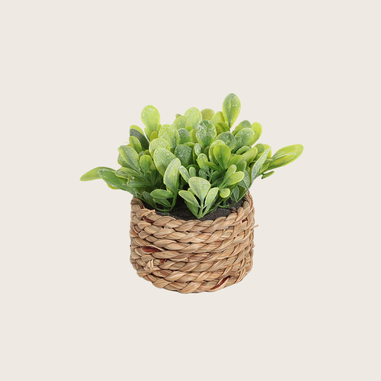 ARTIFICIAL MINI PLANT